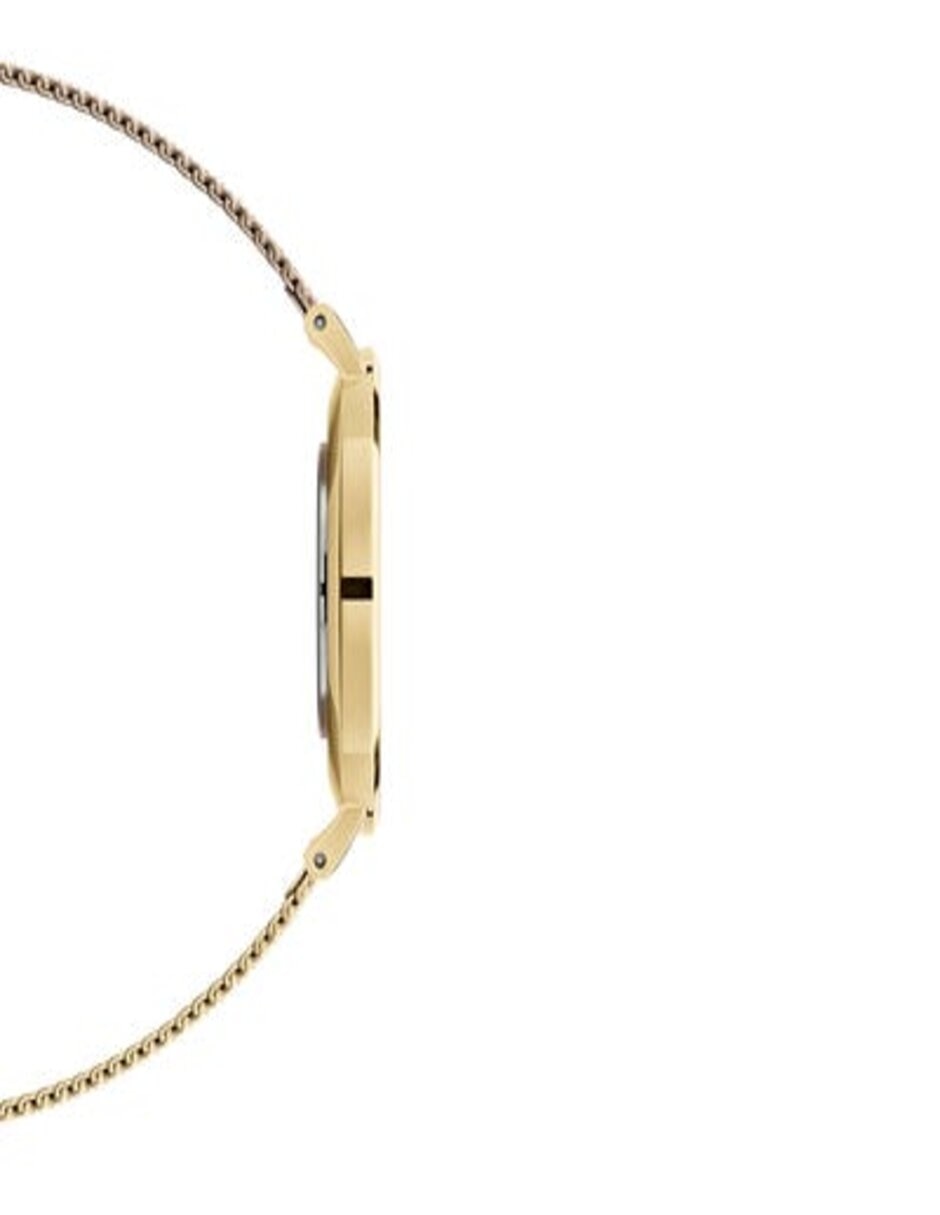 Reloj Petite Evergold para unisex DW00100345