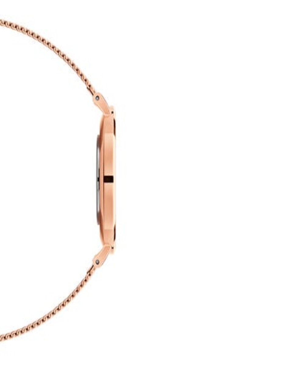 Reloj Petite para unisex DW00100303