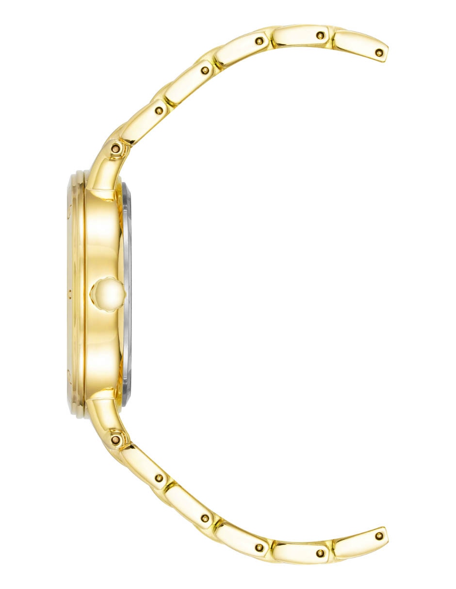 Reloj Anne Klein Gold Collection para mujer AK4012WTGB