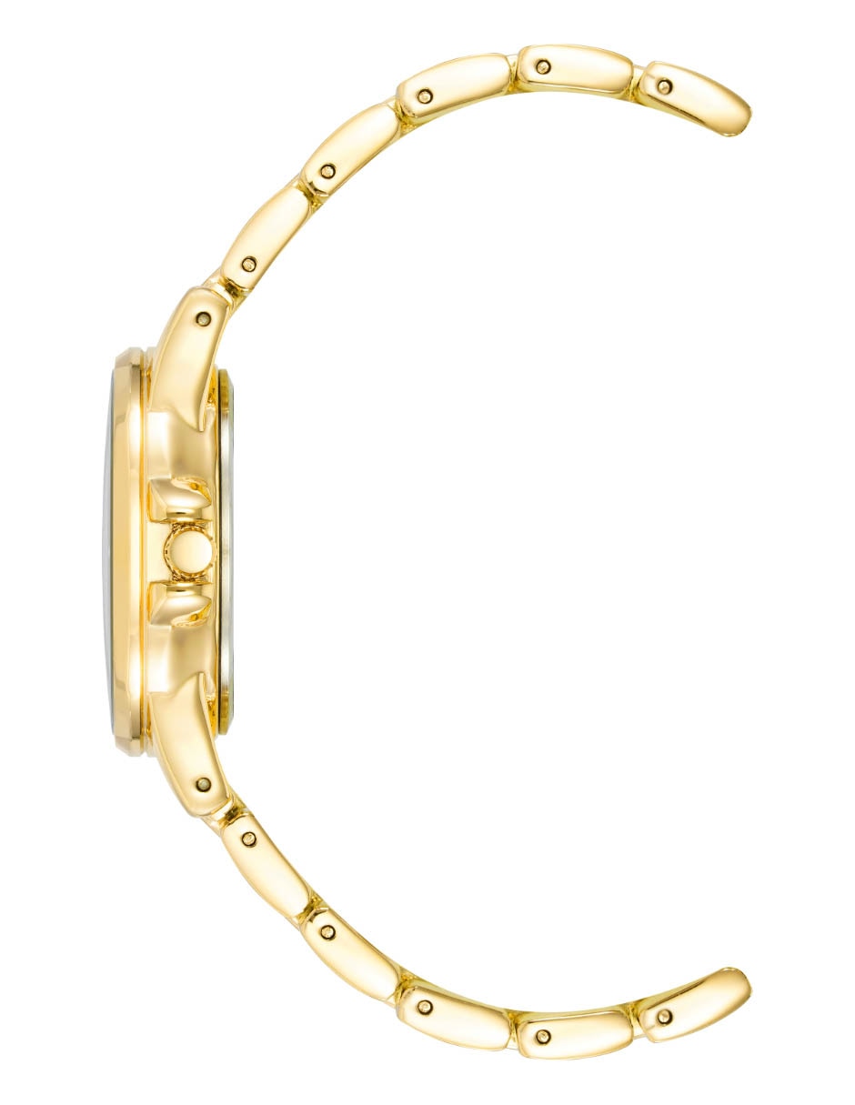 Reloj Gold Collection para mujer AK4132RQGB 5