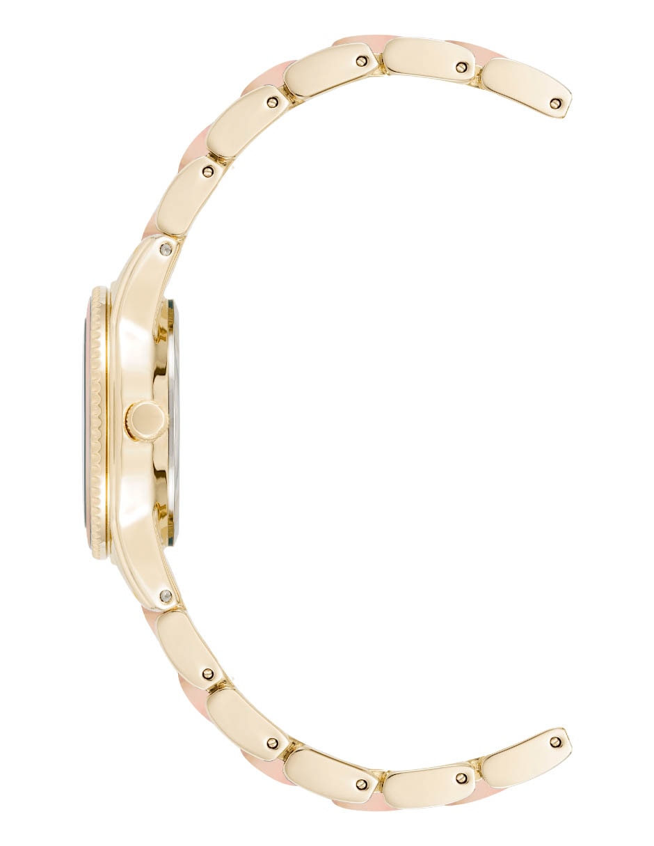 Reloj Blush Collection para mujer AK3212IRGB