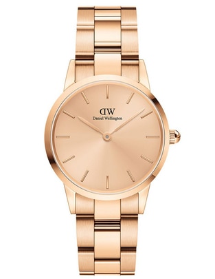 Reloj Iconic Link Unitone para mujer DW00100401 1