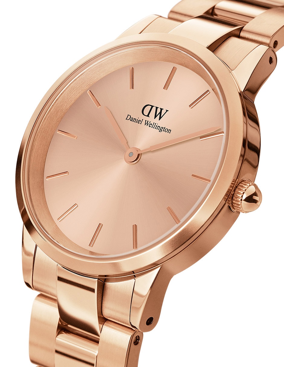 Reloj Iconic Link Unitone para mujer DW00100401 6