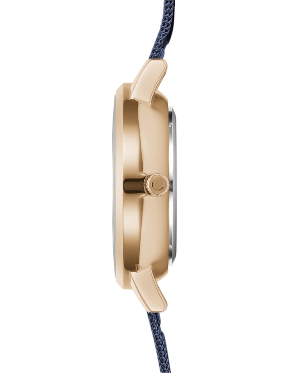 Reloj Orion Ocean para mujer V250LXVLML