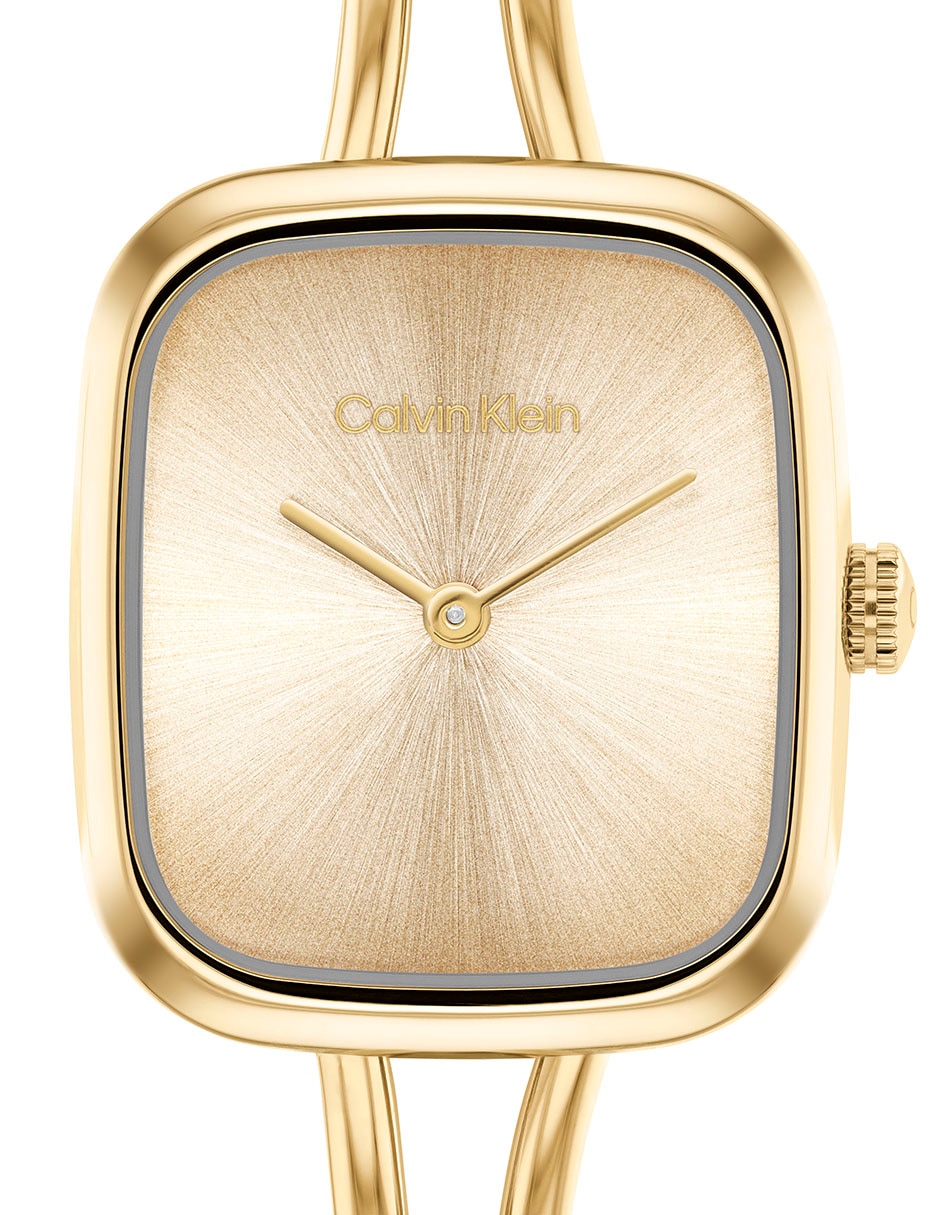 Reloj Calvin Klein Adore para mujer 25100132