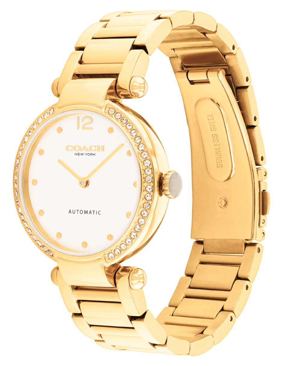 Reloj Cary para mujer 14504580 5