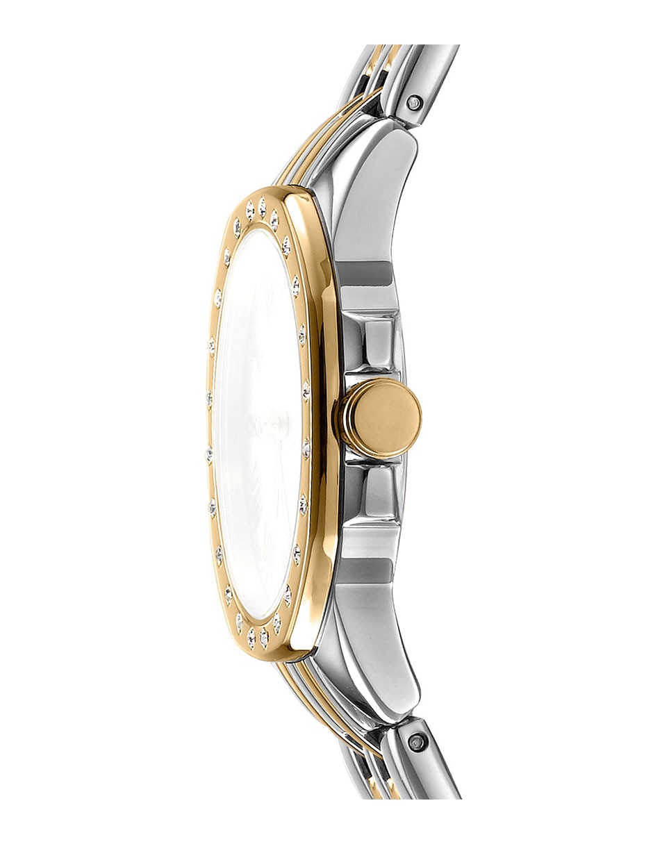 Reloj evening para mujer dk1l013m0095