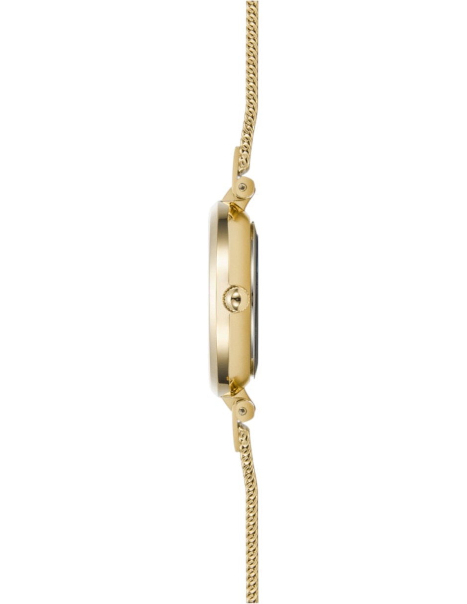 Reloj Diamant Petit Dijon para mujer V256SXGBMG 2