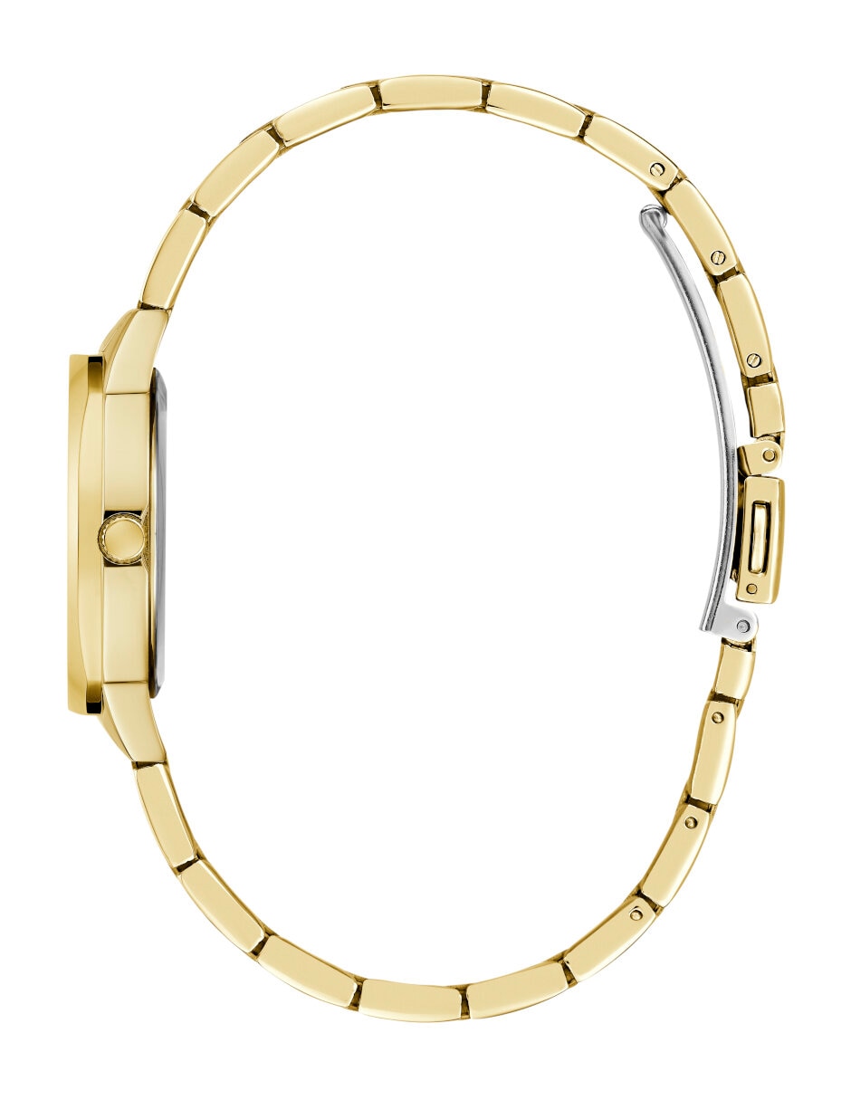 Reloj Charlotte para mujer GW0767L7