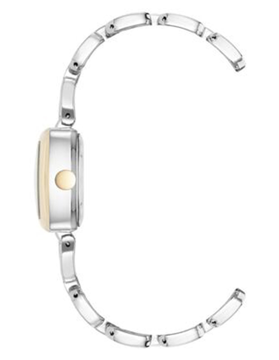 Reloj Two Tone Collection Para Mujer Nw3387Svrt 2