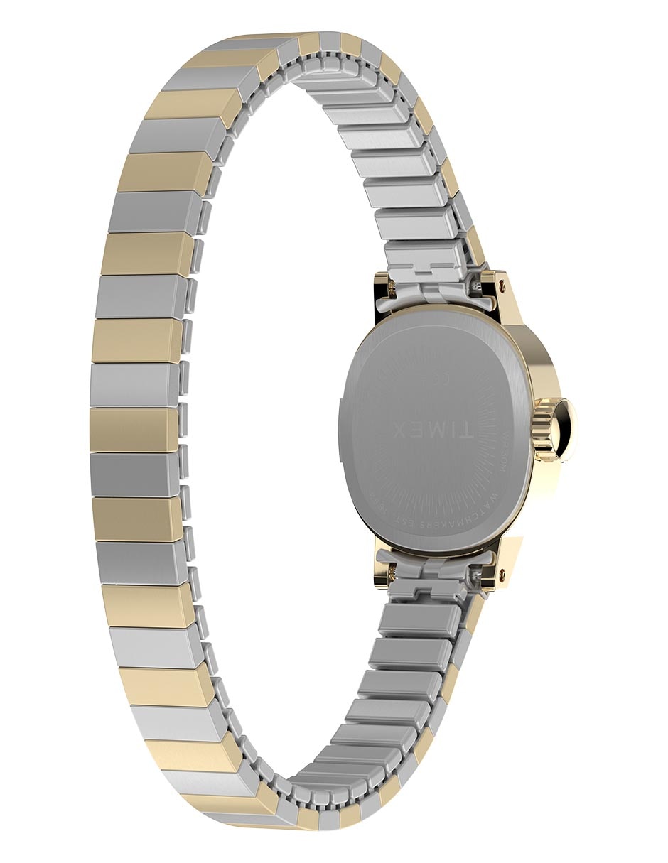 Reloj Cavatina Main Line para mujer TW2Y66900VT