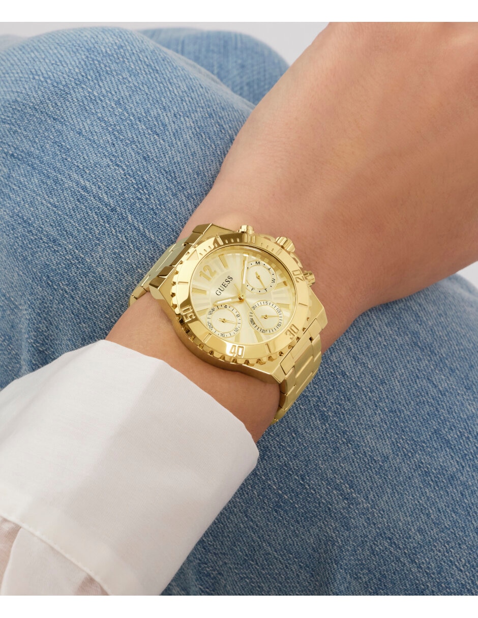 Reloj Phoebe para mujer GW0696L4