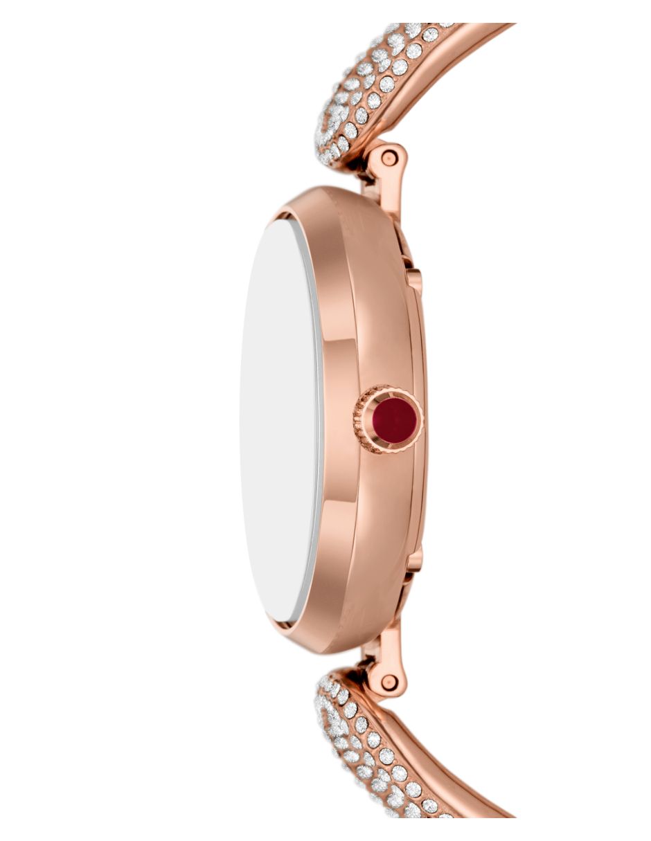 Reloj Dress para mujer AR11737 5