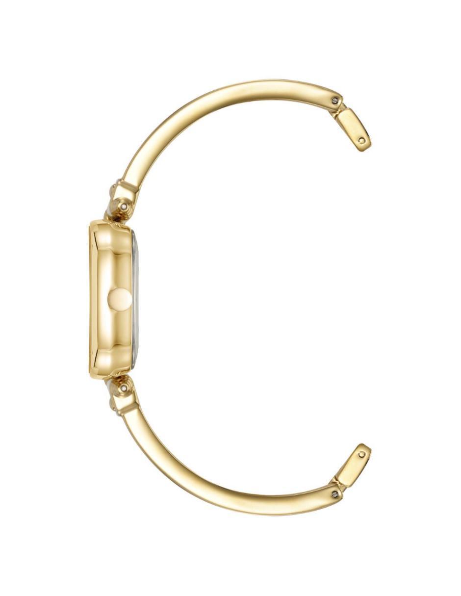 Reloj Gold para mujer Ak5490chgb 3
