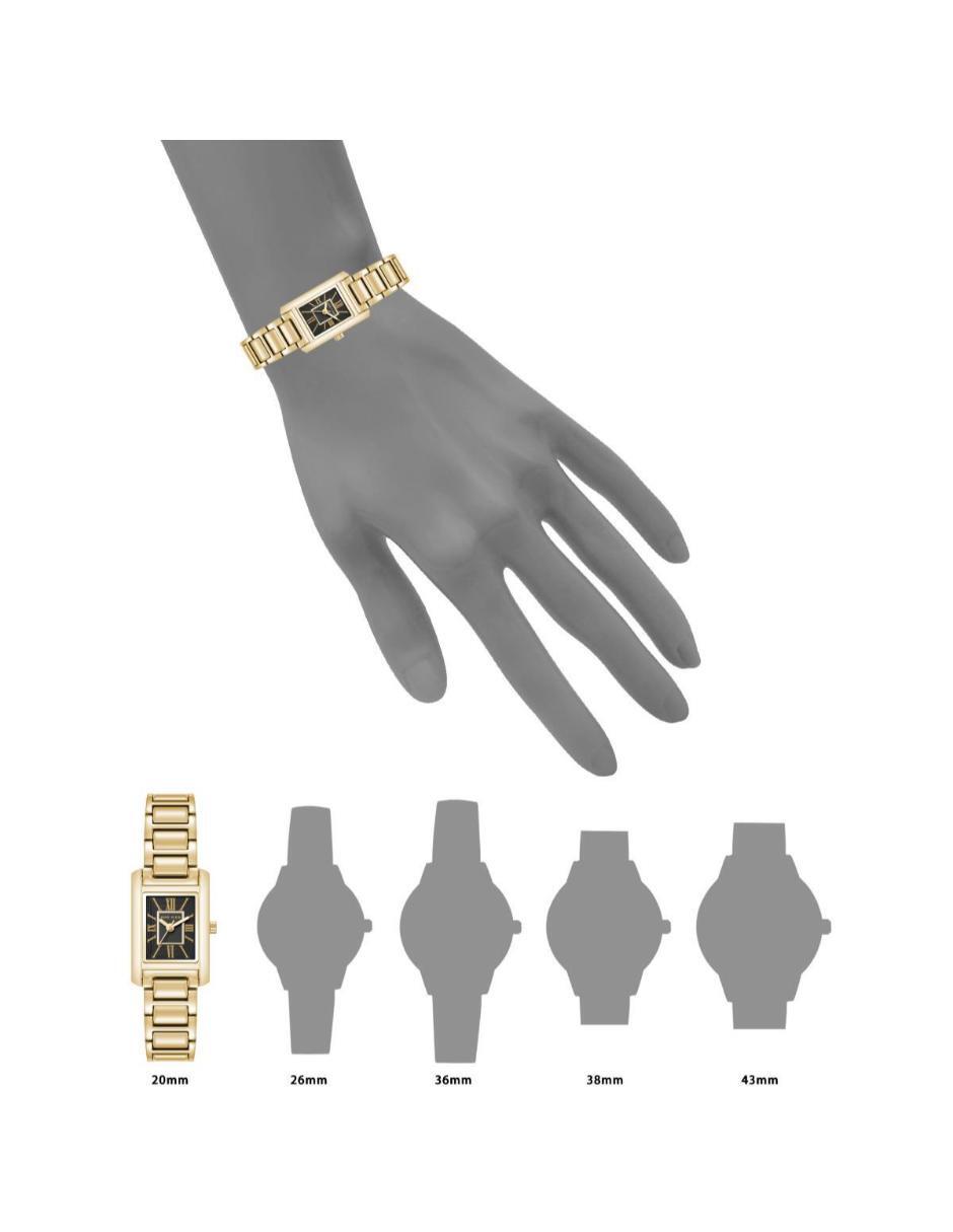Reloj Gold Collection para mujer AK5114BKGB
