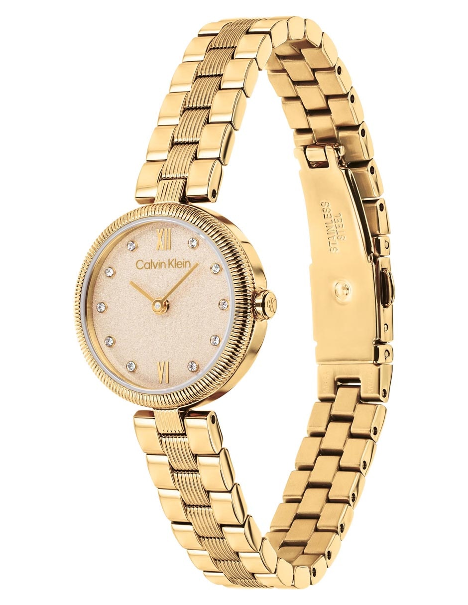 Reloj ck gleam para mujer 25100225 6
