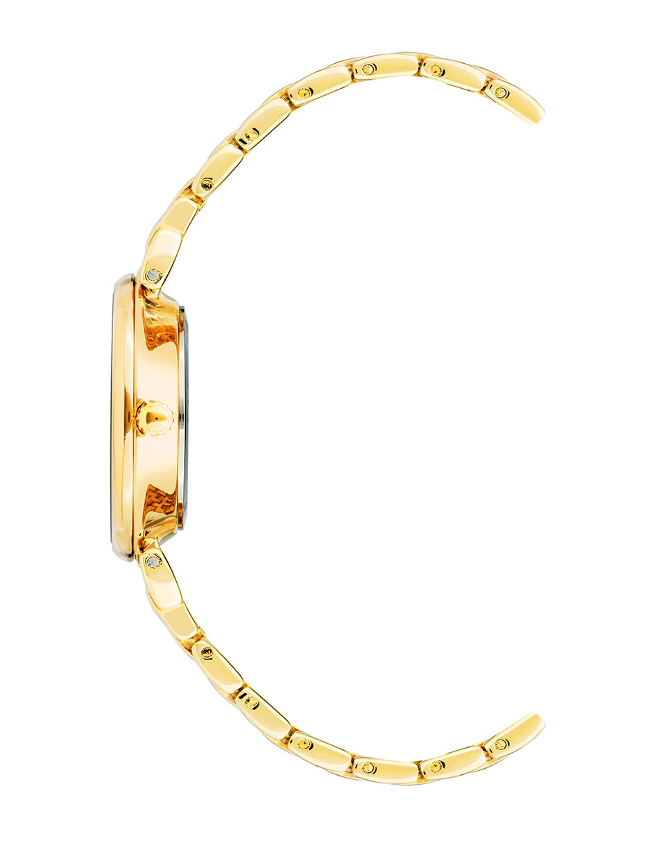 Reloj Gold Collection para mujer AK215826CHGB 2