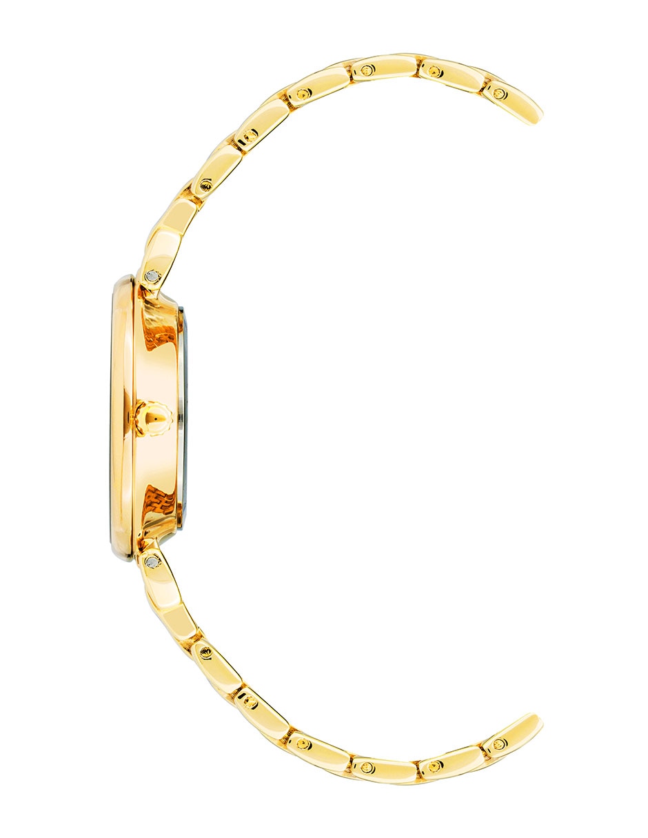 Reloj Gold Collection para mujer AK2158BKGB 2