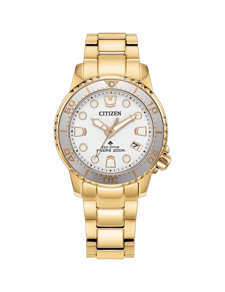 Reloj promaster dive para mujer 62106