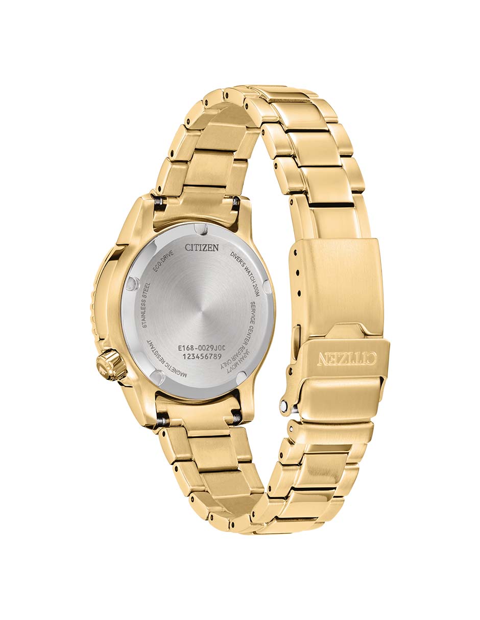 Reloj promaster dive para mujer 62106 2