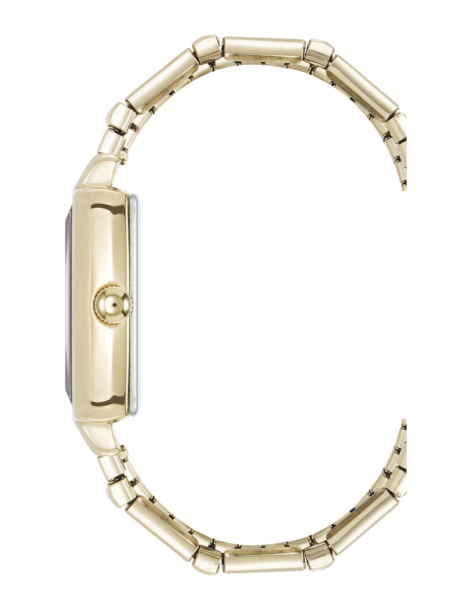 Reloj Gold Collection para mujer AK5496BKGB 2