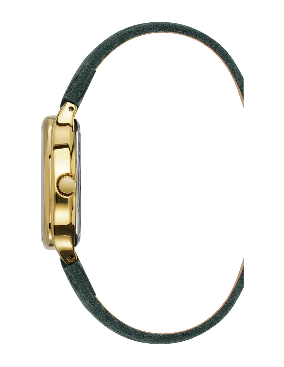 Reloj Color Collection para mujer AK5480GPGN 3
