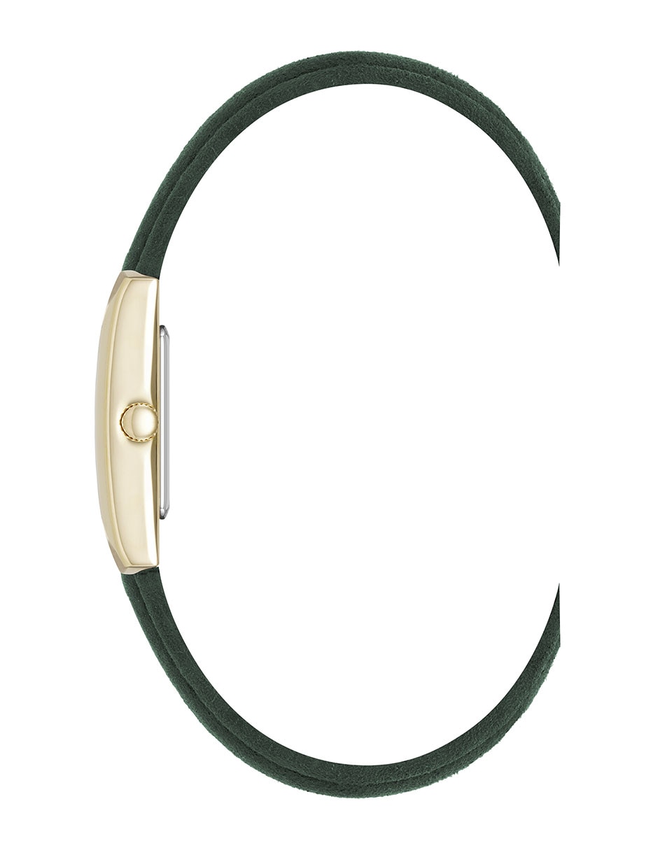 Reloj Color Collection para mujer AK5516GPGN 3