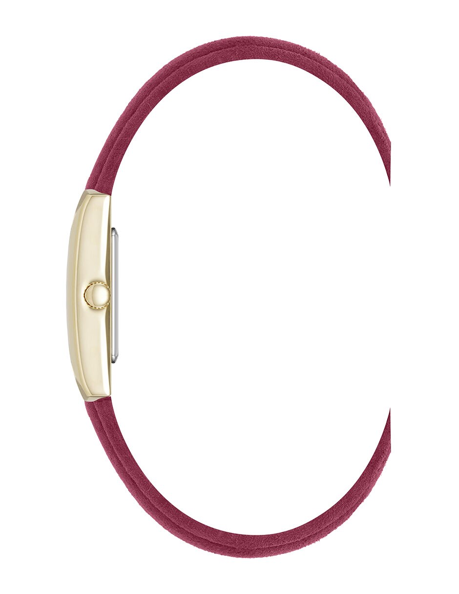Reloj Color Collection para mujer AK5516GPBY 2