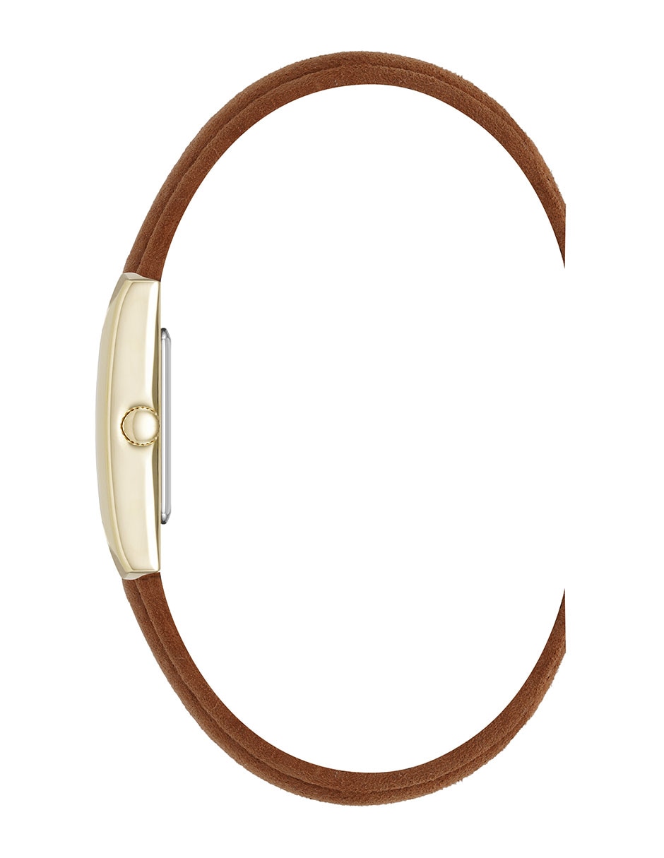 Reloj Color Collection para mujer AK5516GPBN 3