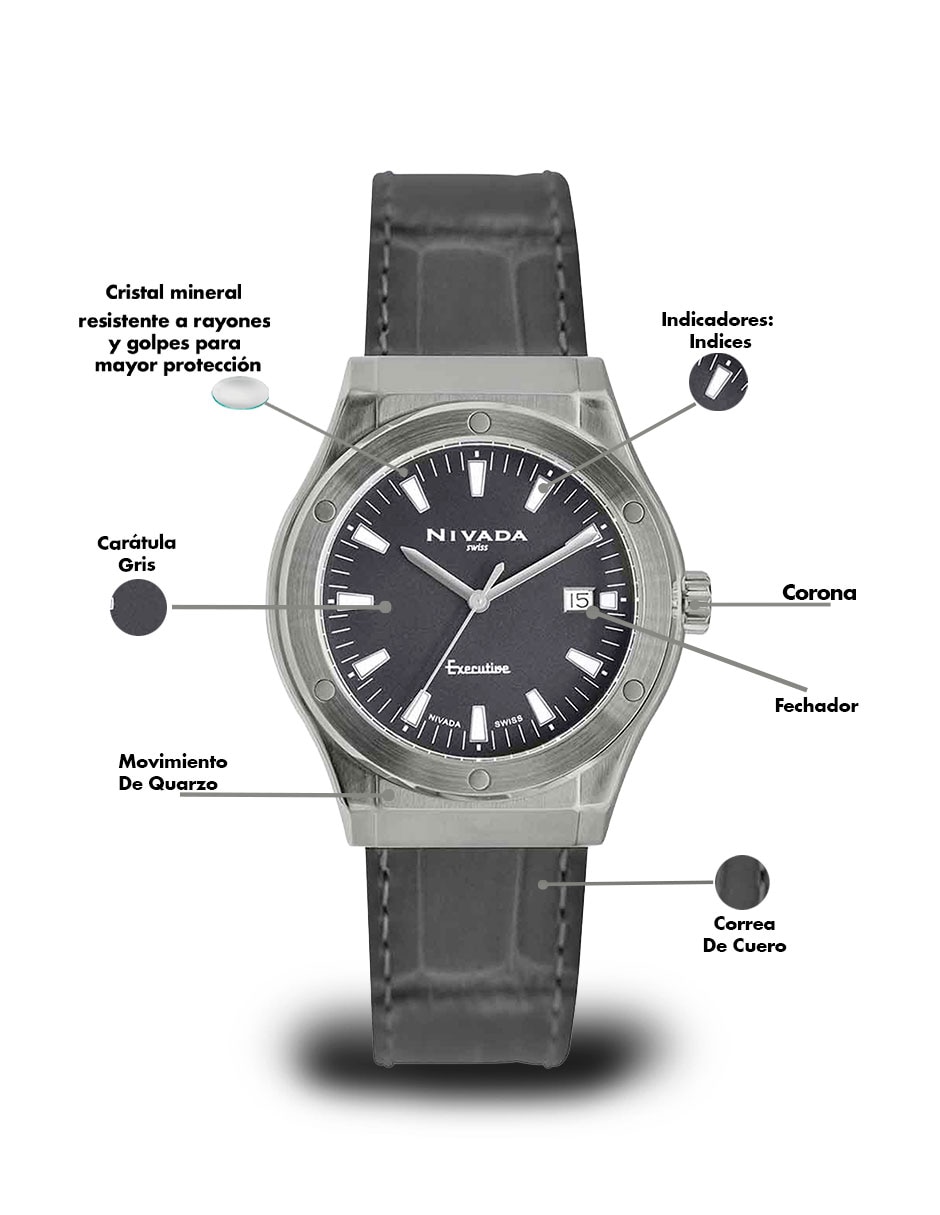 Reloj pulsera Executive para mujer NP21125LPVGI 2