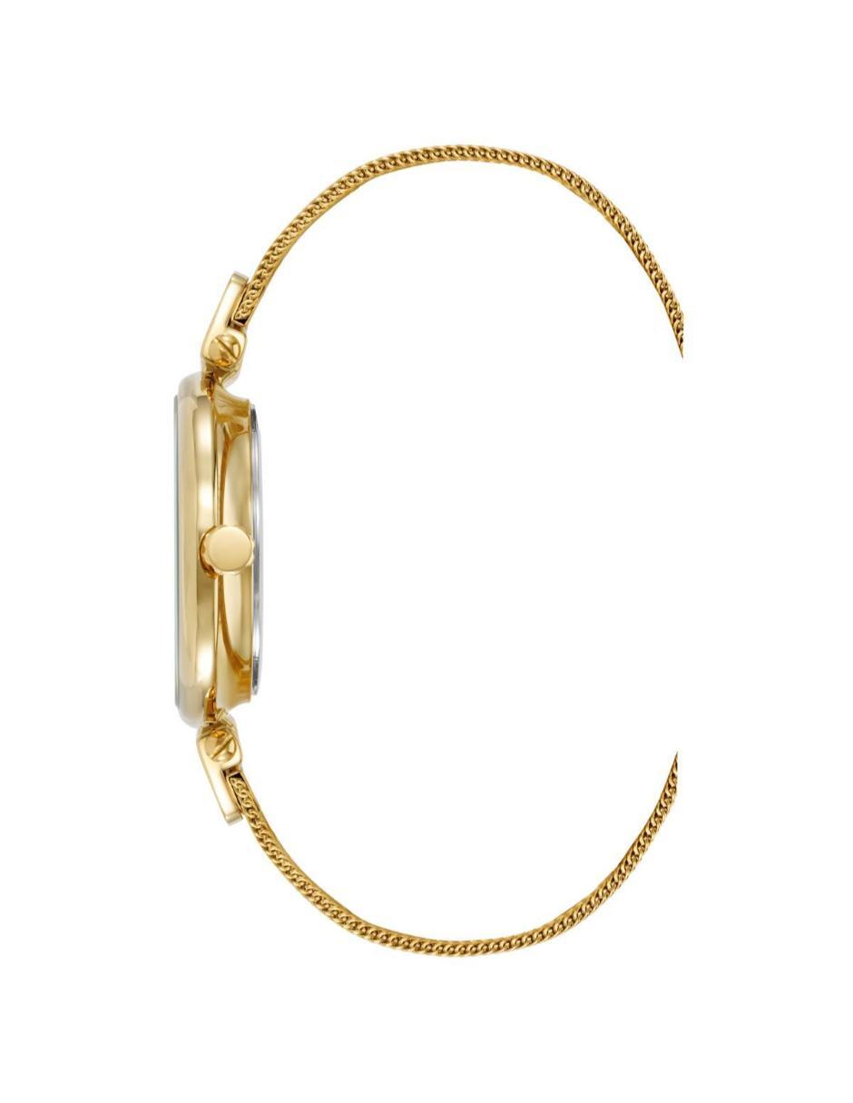 Reloj Gold Collection para mujer AK5460CBGB 2